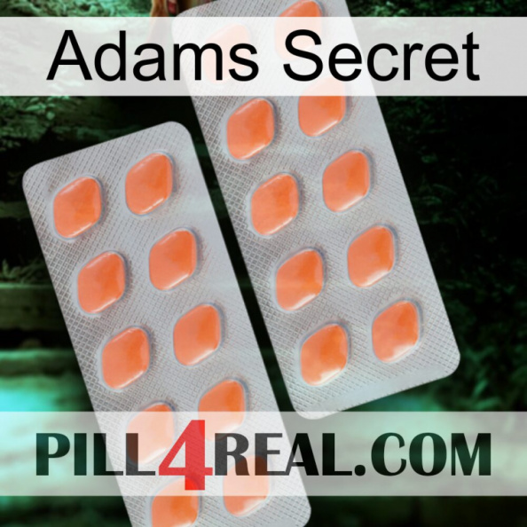 Adams Secret 27